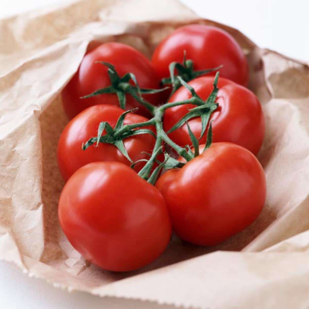 4th of July tomato variety