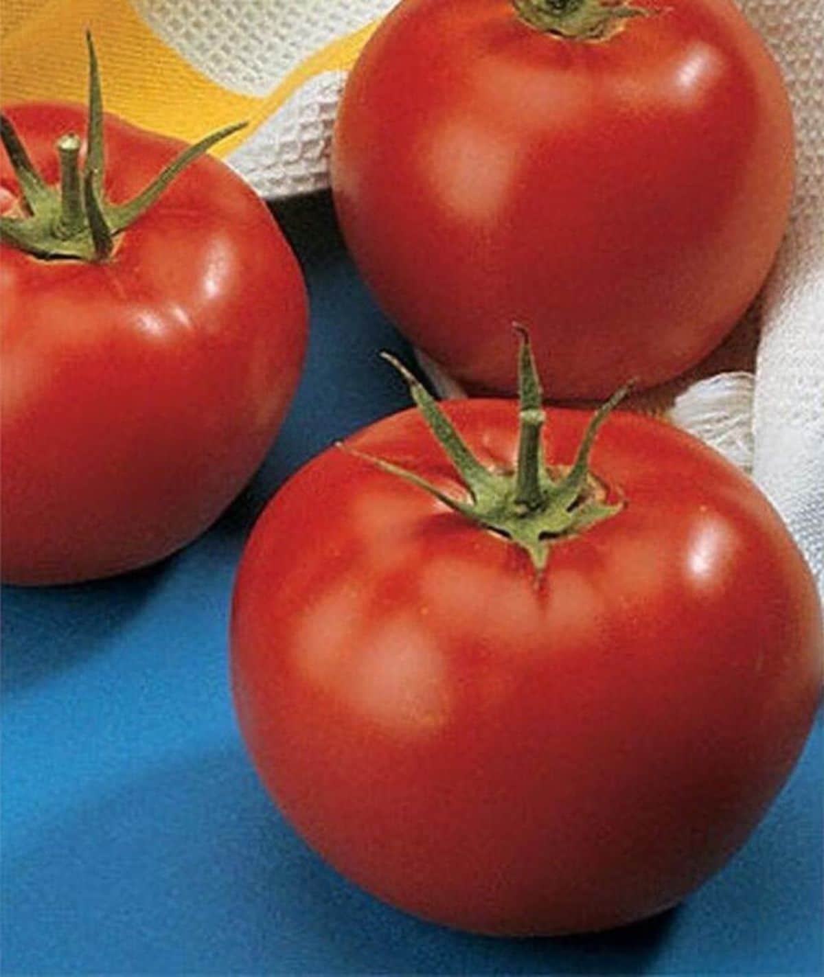 Early Pick tomato variety