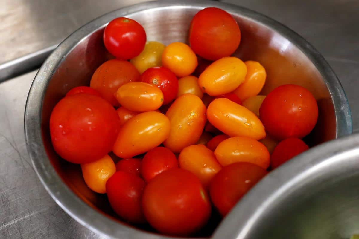 Orange Roma early canning tomato