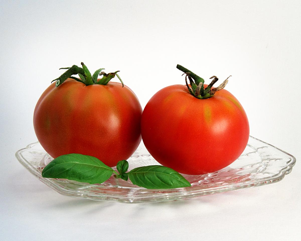 Rutgers red tomato