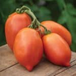 Ripe big mama tomatoes.