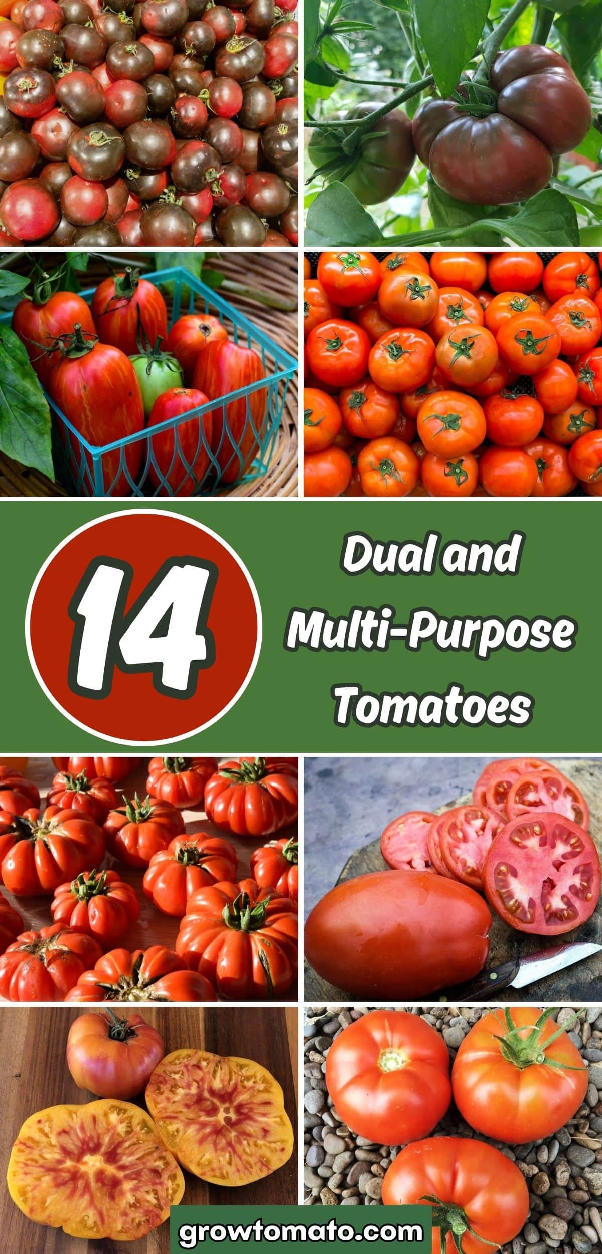 14 Dual and Multi-Purpose Tomatoes collage.