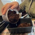 Filling germination pots with soil