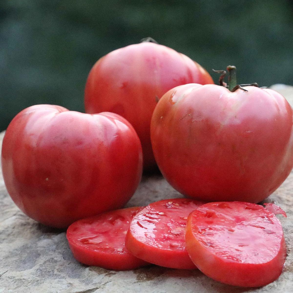 German Pink tomato