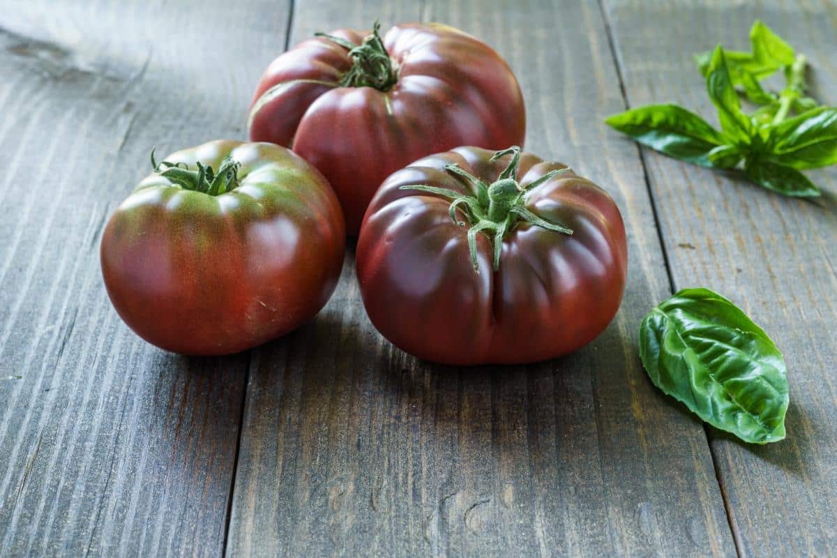 Colored brandywine tomatoes