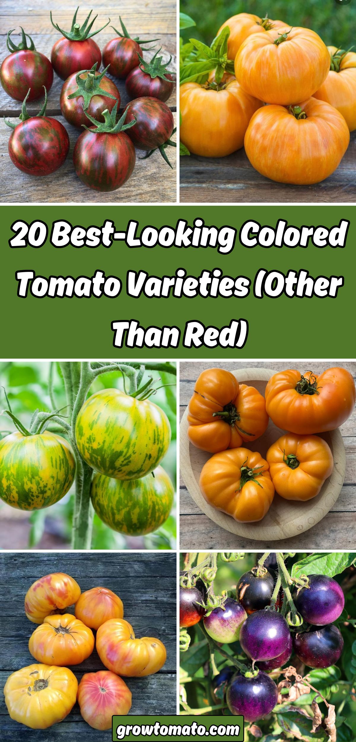 20 Best-Looking Colored Tomato Varieties (Other Than Red) collage.