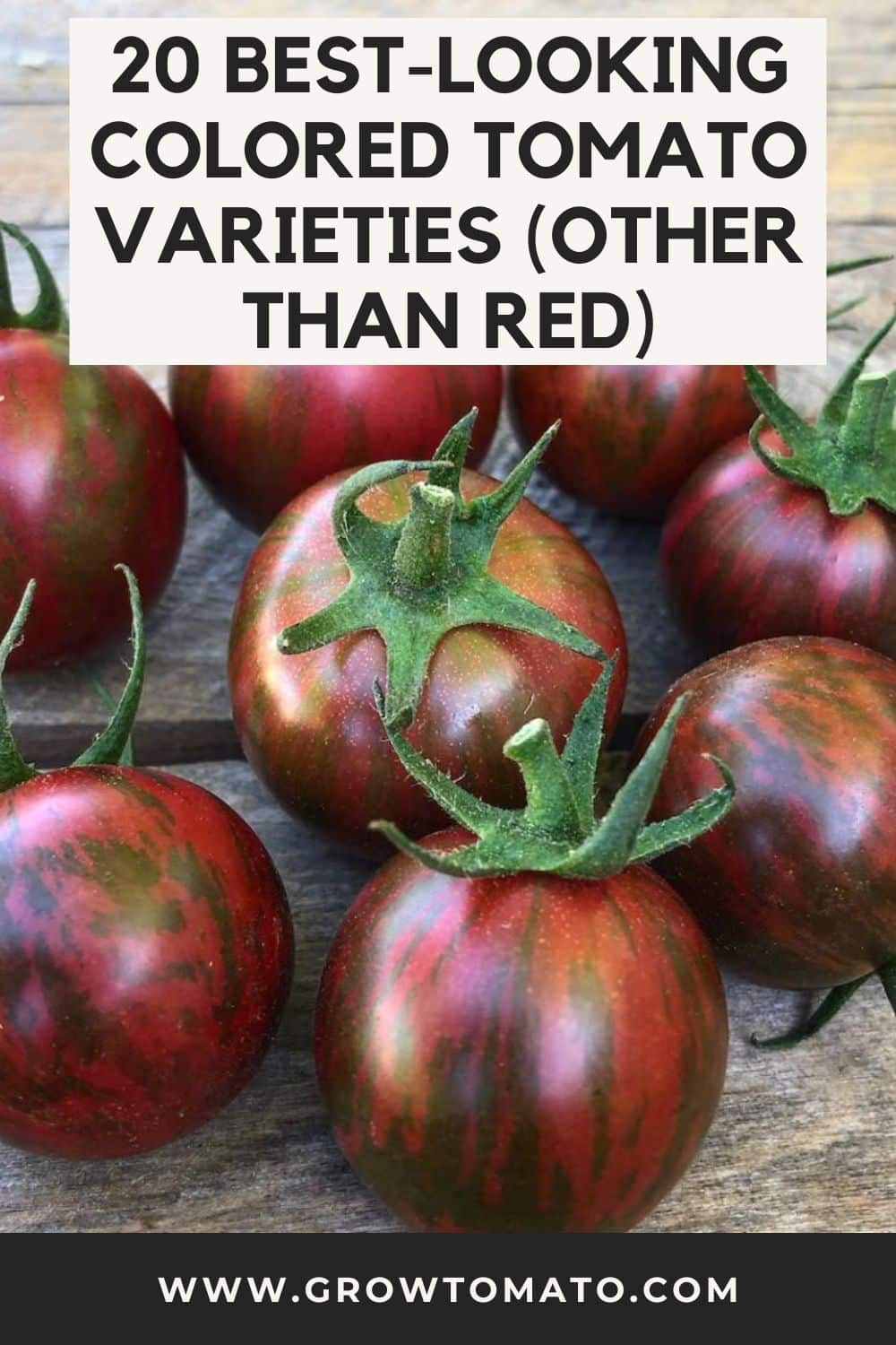 20 Best-Looking Colored Tomato Varieties (Other Than Red) pinterest image.