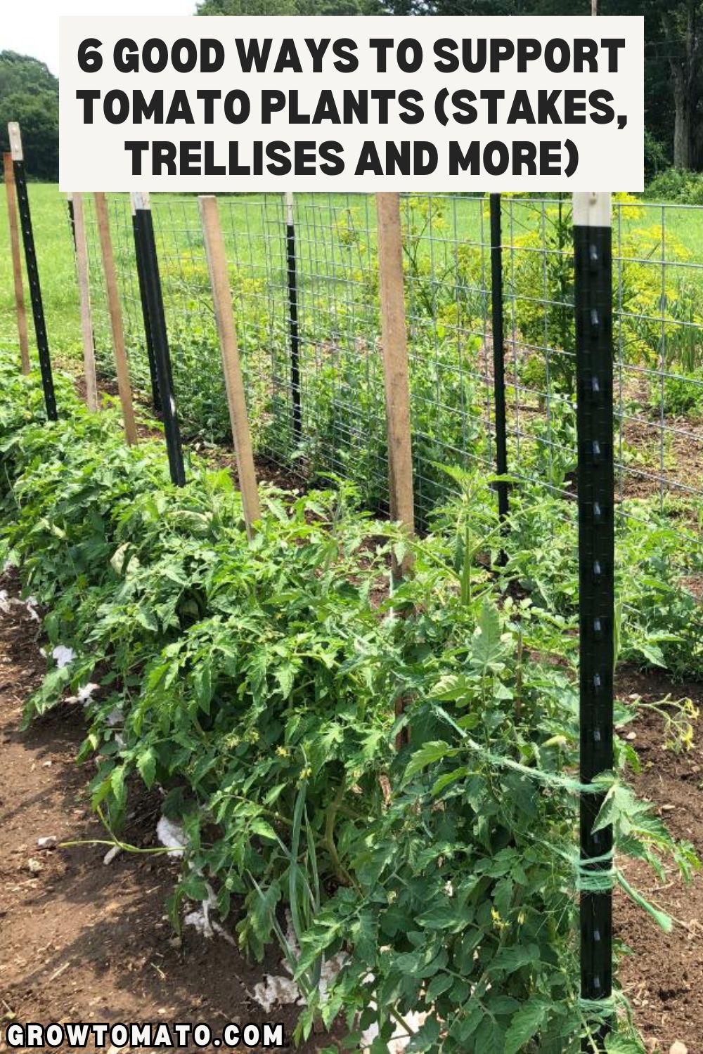 6 Good Ways to Support Tomato Plants (Stakes, Trellises and More) pinterest image.