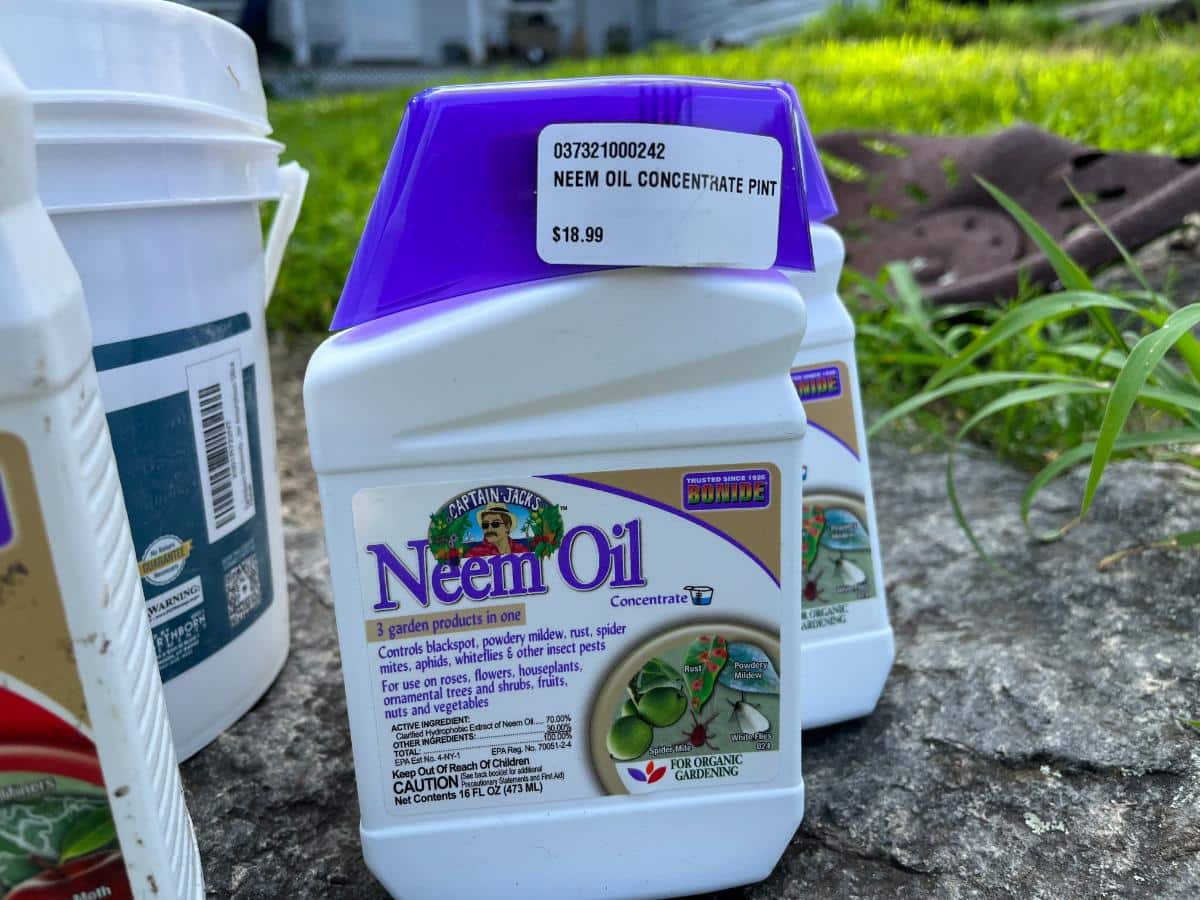 Neem oil concentrate