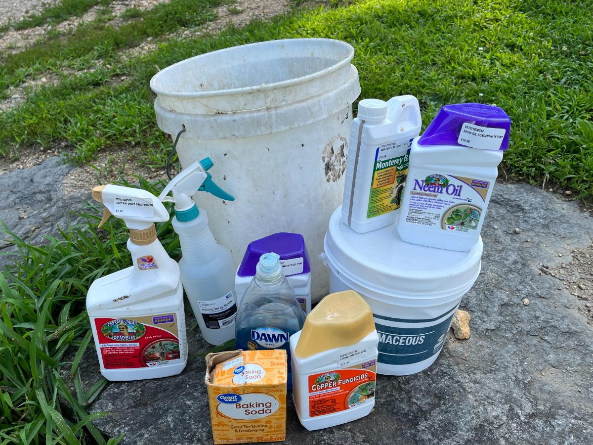 A gardening first aid kit ready to deal with hornworms