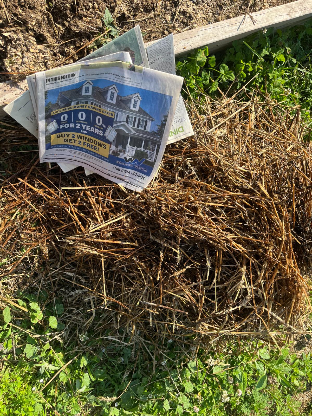 Newspaper and straw mulch