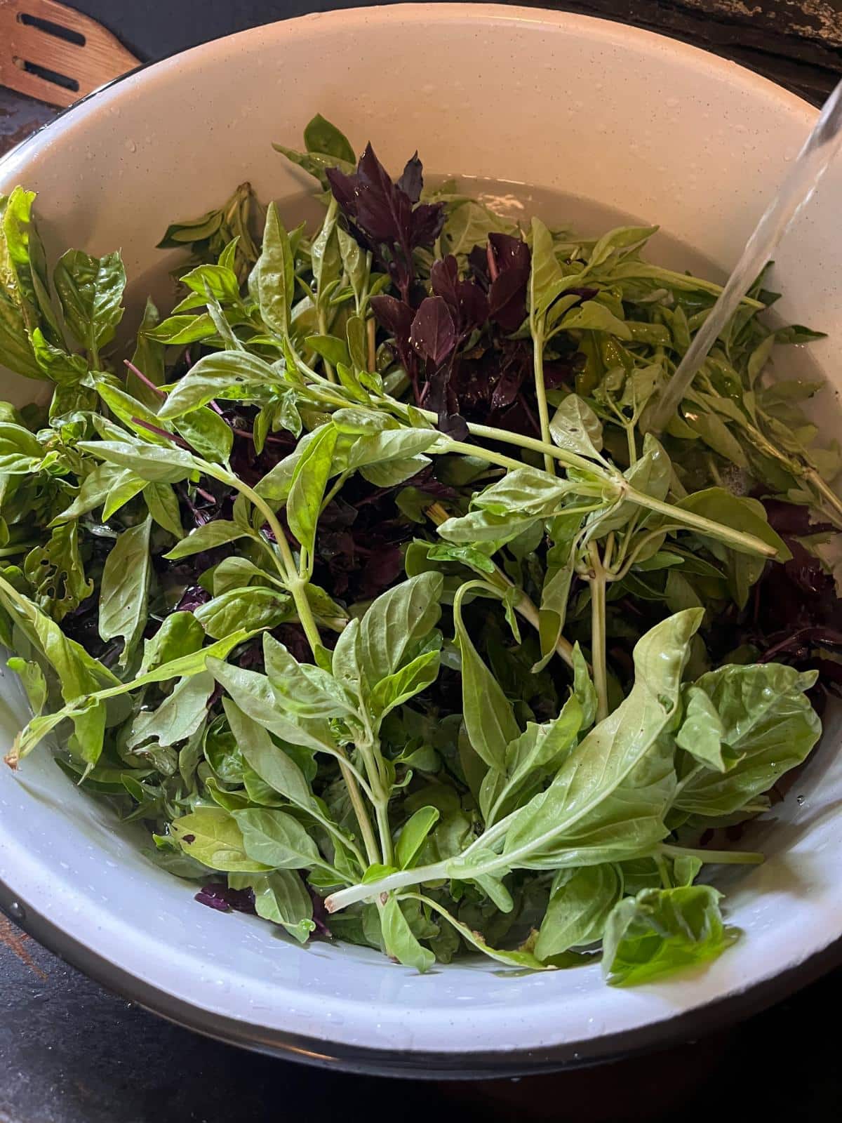 Fresh basil for homemade roasted tomato sauce