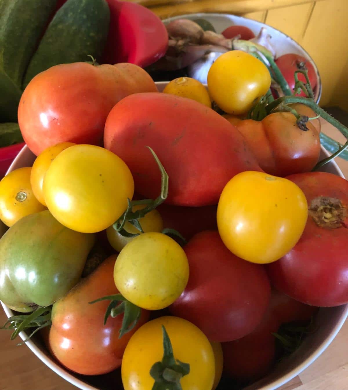 A variety of tomatoes in a strainer