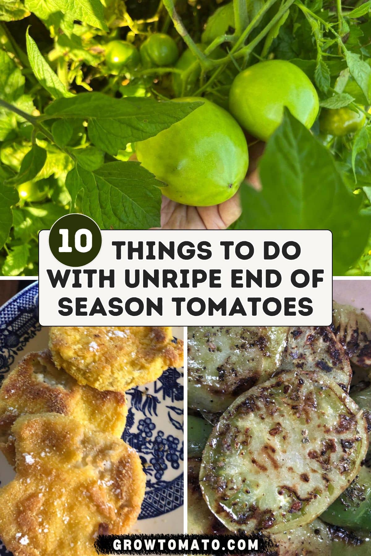 10 Things To Do With Unripe End of Season Tomatoes pinterest image