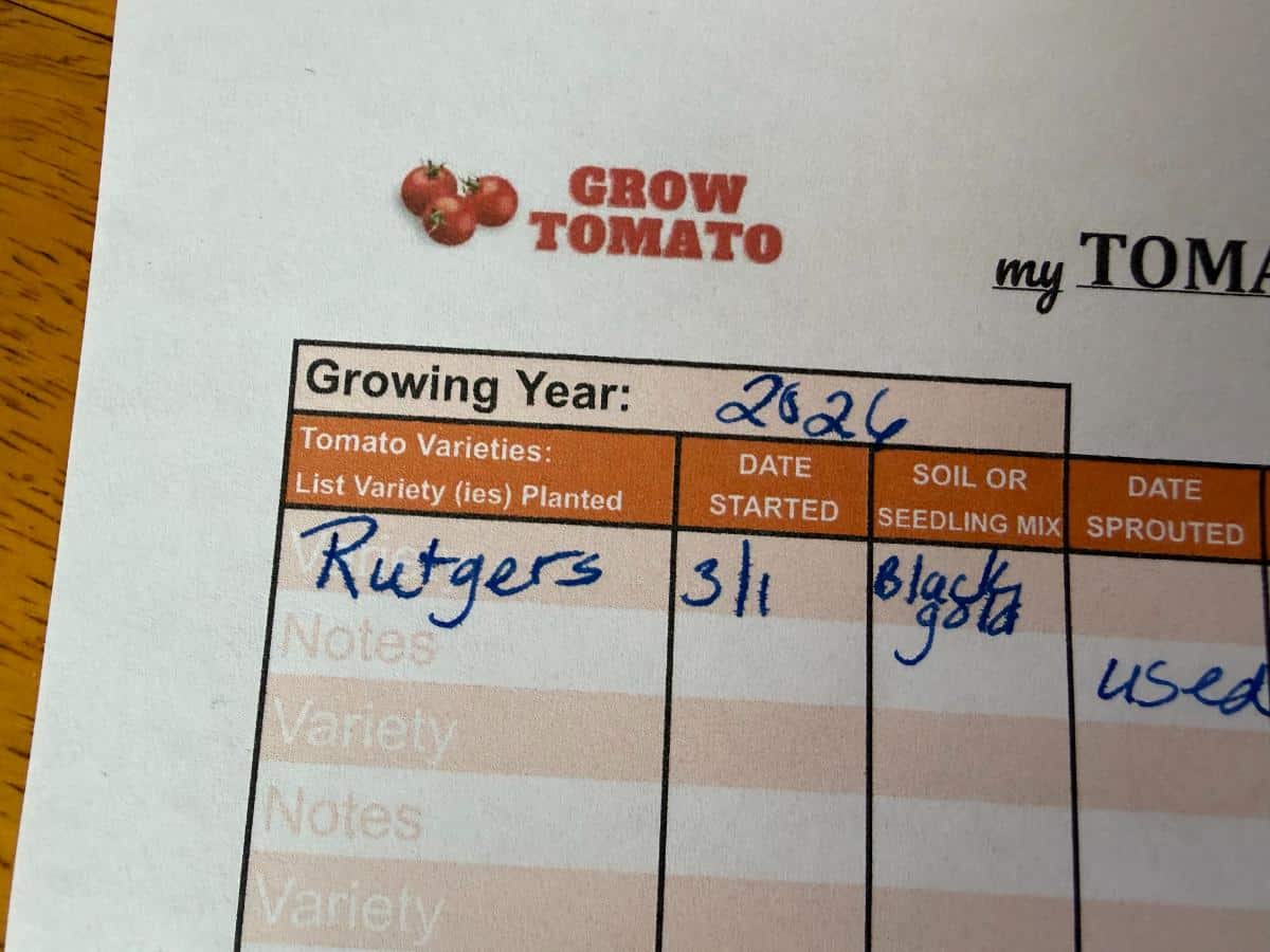 Free downloadable record sheet for tomato garden journal