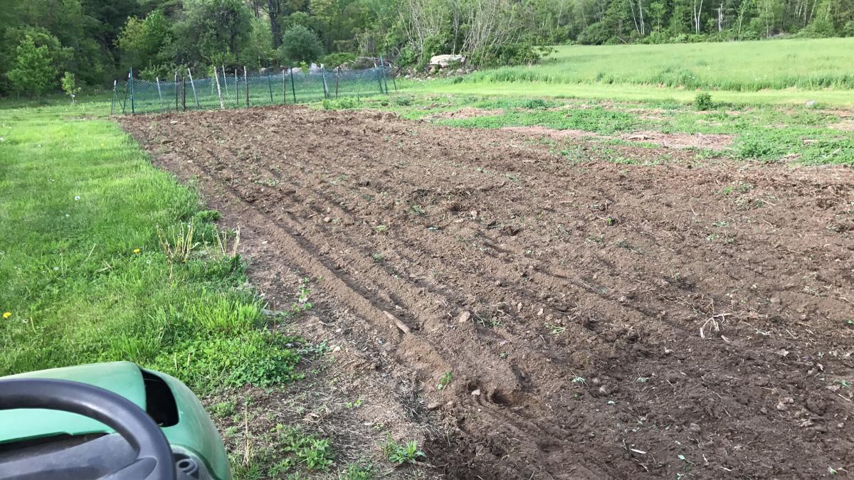 Soil for a tomato garden