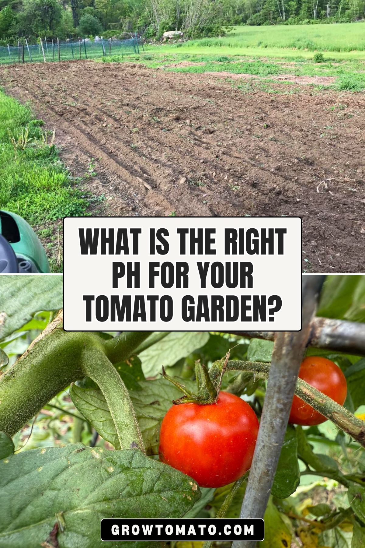 What is the Right pH for Your Tomato Garden? pinterest image